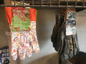 21397527-1770693666274400-1474708254-n