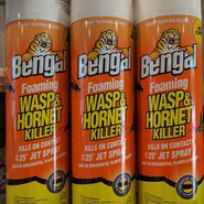 Bengal Wasp & Hornet Killer