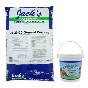 jacks-classic Jack's Classic