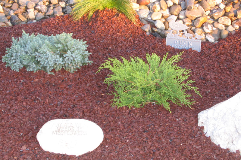 photo5_orig- Playsafer Rubber Mulch