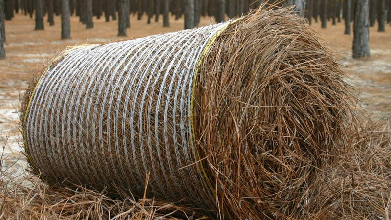 pinestrawrolls_1_orig Pine Straw Rolls